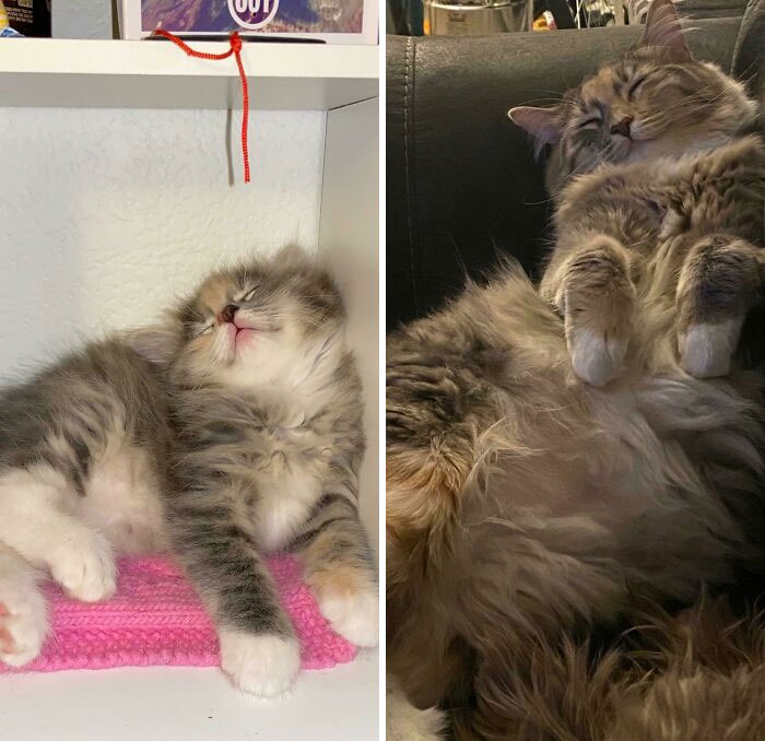 Smile Stayed The Same. Size Not So Much