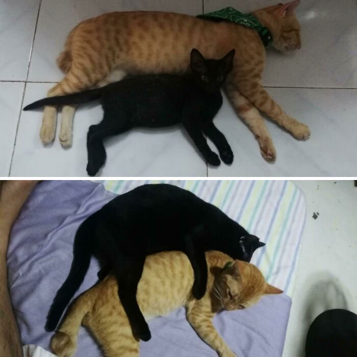 From Big Spoon To Little Spoon In 10 Months