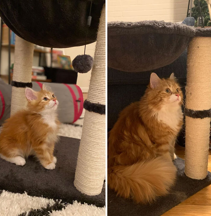 3months To 11 Months. Nigel, Please Stop Growing