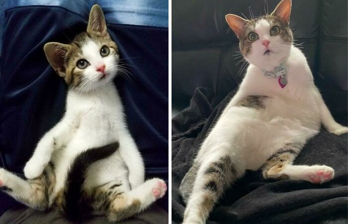 At 2 Years Old She Is Still Sitting Like She Did As A Baby