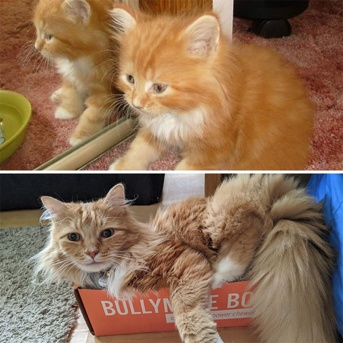 I Was Told I Should Post This Here. This Is Little Jude And Today He's 10!