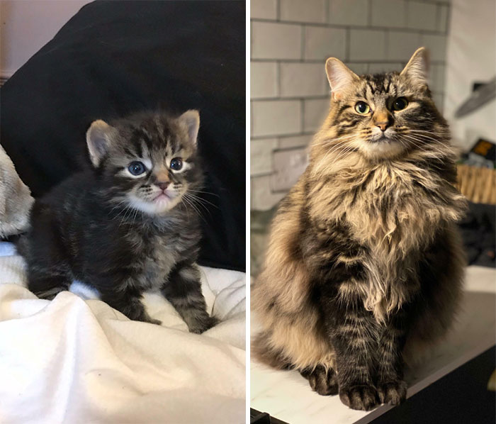 You Could Say He’s Grown In The Past 12 Months