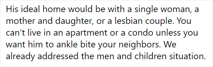 Adoption Post Honestly Lists Everything That's Wrong With This Demonic Chihuahua And It Goes Viral