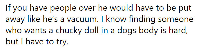 Adoption Post Honestly Lists Everything That's Wrong With This Demonic Chihuahua And It Goes Viral