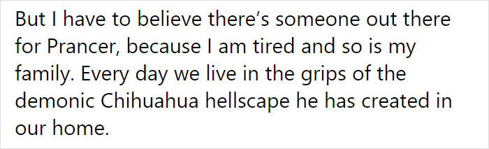 Adoption Post Honestly Lists Everything That's Wrong With This Demonic Chihuahua And It Goes Viral