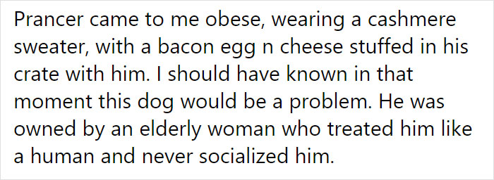 Adoption Post Honestly Lists Everything That's Wrong With This Demonic Chihuahua And It Goes Viral