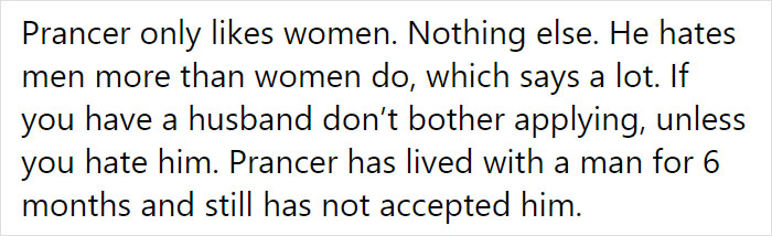 Adoption Post Honestly Lists Everything That's Wrong With This Demonic Chihuahua And It Goes Viral