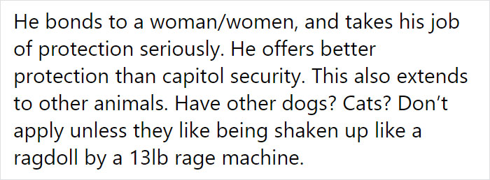 Adoption Post Honestly Lists Everything That's Wrong With This Demonic Chihuahua And It Goes Viral