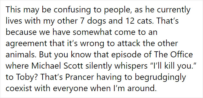 Adoption Post Honestly Lists Everything That's Wrong With This Demonic Chihuahua And It Goes Viral