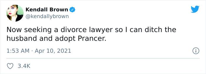 Adoption Post Honestly Lists Everything That's Wrong With This Demonic Chihuahua And It Goes Viral