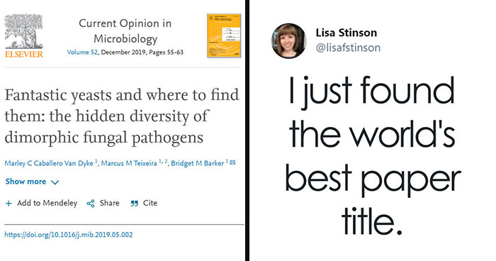30 Paper Titles From Scientists With A Sense Of Humor, As Shared On This Twitter Thread