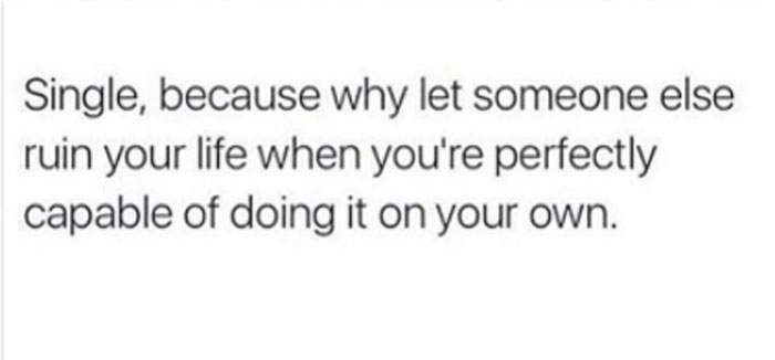 Meme about being single, humorously stating self-reliance in life choices.