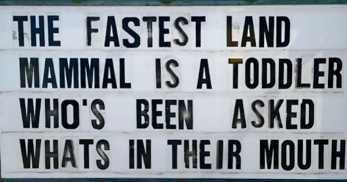 50 Funny Signs By The Legendary Tex-Mex Restaurant, El Arroyo (New Pics)