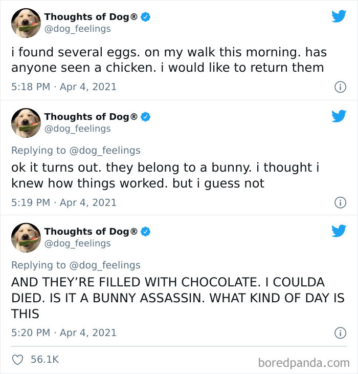 Funny-Tweets-Thoughts-Of-Dog