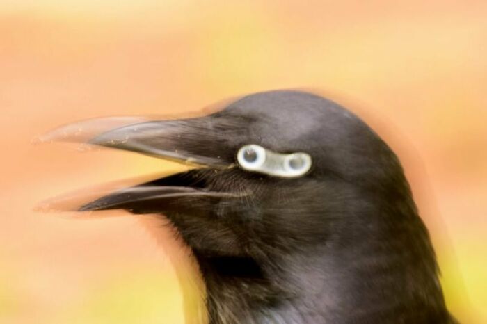 I Don't Know What To Think About This At All...