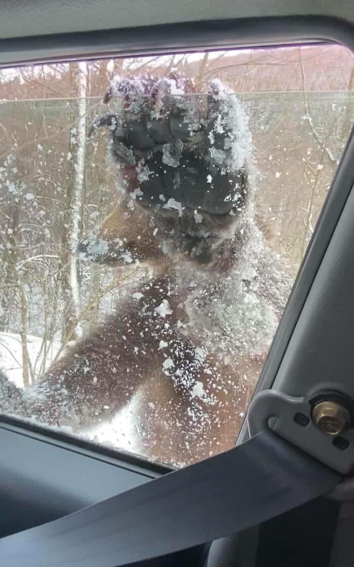 Thought You’d Appreciate This Guy Saying Hello