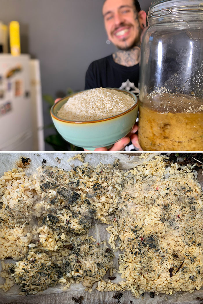 Did You Know That You Just Need Undercooked Rice To Collect Microbes And Microorganisms For Your Garden And Improve The Web Of Soil Bacteria To Have Better And Stronger Plants?