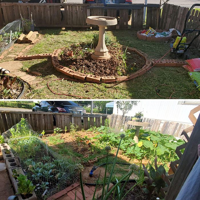 My Mini Trailer Lot Garden. And We're Only Partially Through The Season