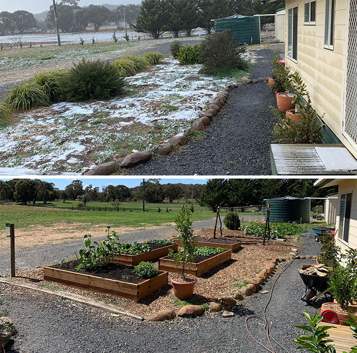 We Turned An Uninspiring Large Garden Into A Good Looking Food Producing Area. 4 Raised Beds, A Pea Tent And Pumpkin Patch