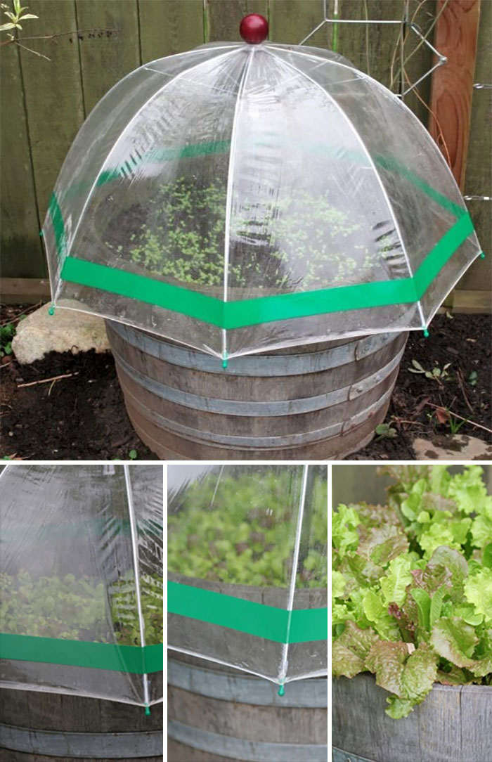 DIY Mini Greenhouse