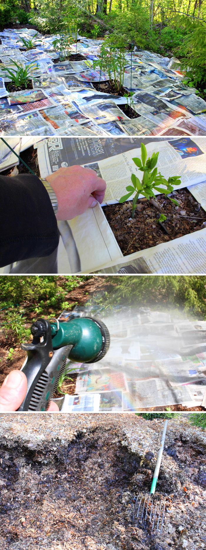 How I Smother Weeds With Newspaper