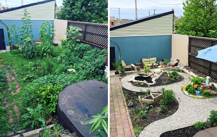 Our Garden Transformation