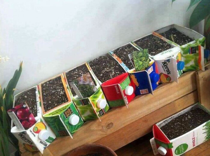 Recycled Items To Use As Seed Starters