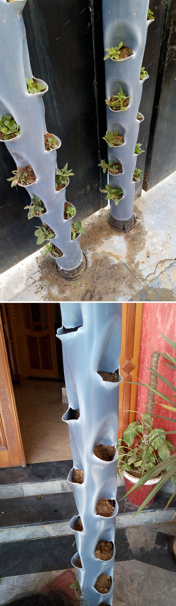 Used Some Old Pipe For A Fun Sunday Activity