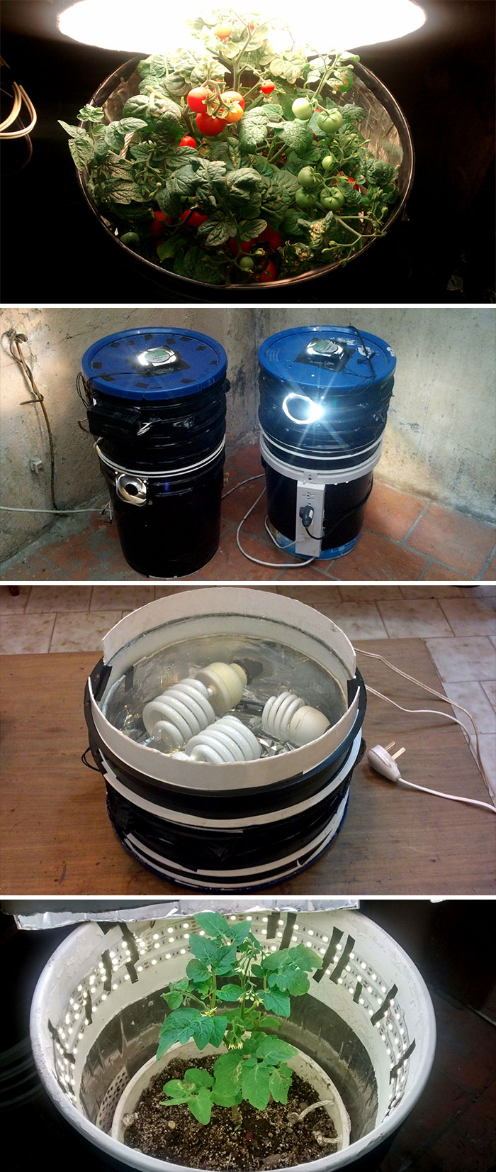 Indoor Bucket Gardening