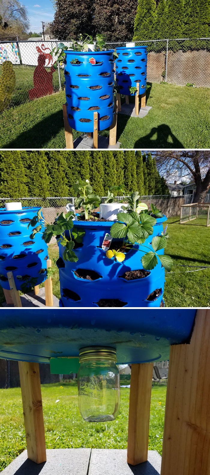 Backyard Vertical Garden