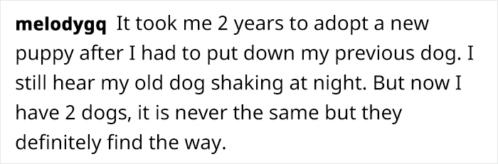 Artist Who Makes People Cry With Her Comics Released A Sequel To 'Little Fish' About The Spirit Of A Dog Visiting Its Owner Who Got A New Puppy Artist Who Makes People Cry With Her Comics Released A Sequel To 'Little Fish' About The Spirit Of A Dog Visiting Its Owner Who Got A New Puppy
