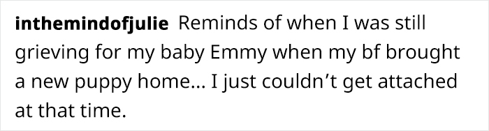 Artist Who Makes People Cry With Her Comics Released A Sequel To 'Little Fish' About The Spirit Of A Dog Visiting Its Owner Who Got A New Puppy Artist Who Makes People Cry With Her Comics Released A Sequel To 'Little Fish' About The Spirit Of A Dog Visiting Its Owner Who Got A New Puppy