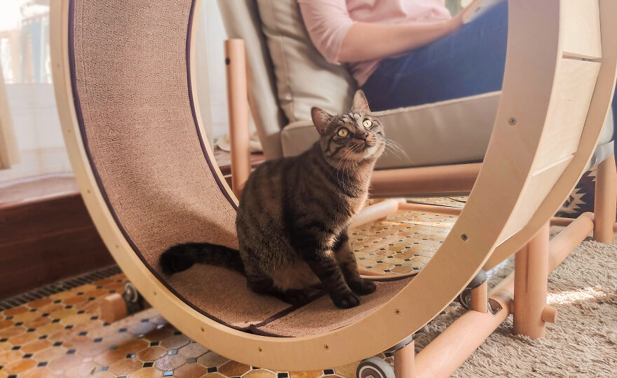 A Chair With An Integrated Running Wheel Was Invented For Cat Lovers A Chair With An Integrated Running Wheel Was Invented For Cat Lovers