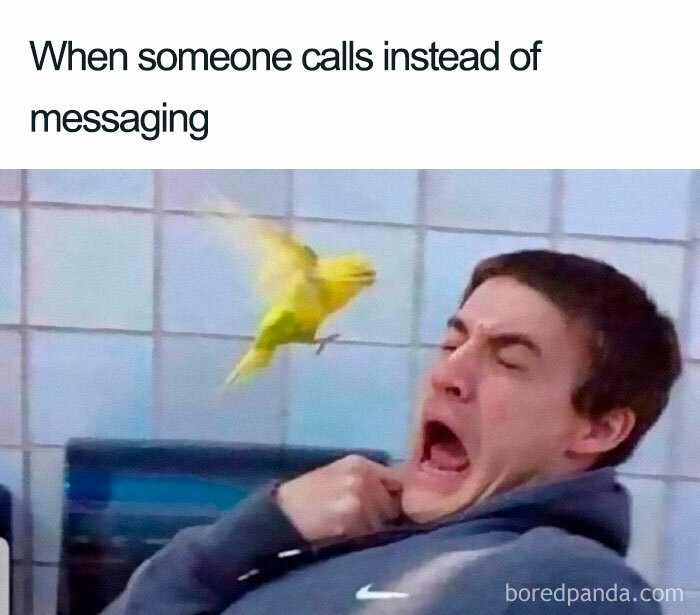 Man recoiling in shock as a yellow bird flaps close to his face, funny introvert memes about calls versus messaging.