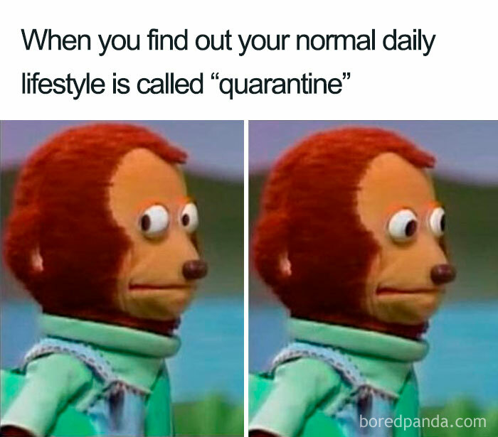 Monkey puppet meme with side-eye expression illustrating funny introvert memes about quarantine lifestyle realization.