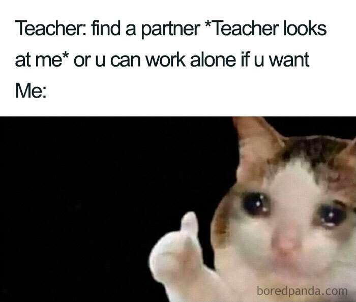 Crying cat giving a thumbs up, representing introvert meme reaction to working alone after teacher’s partner suggestion.
