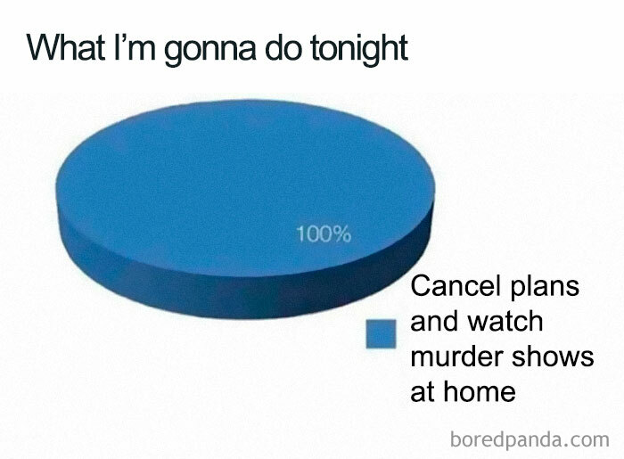 Pie chart showing introvert plans for the night as 100% canceling plans and watching m****r shows at home, funny introvert meme.