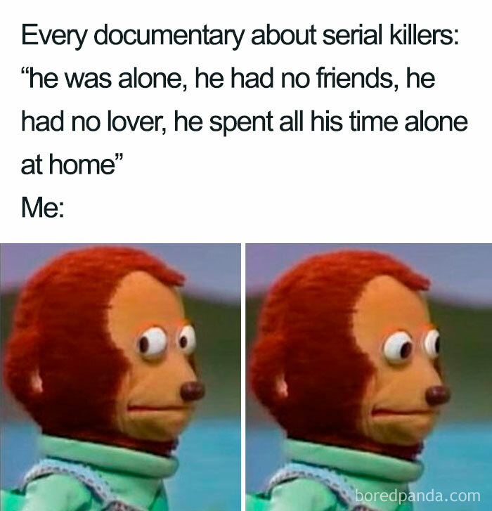 Meme showing a puppet nervously reacting to a documentary quote about loneliness, illustrating funny introvert memes.