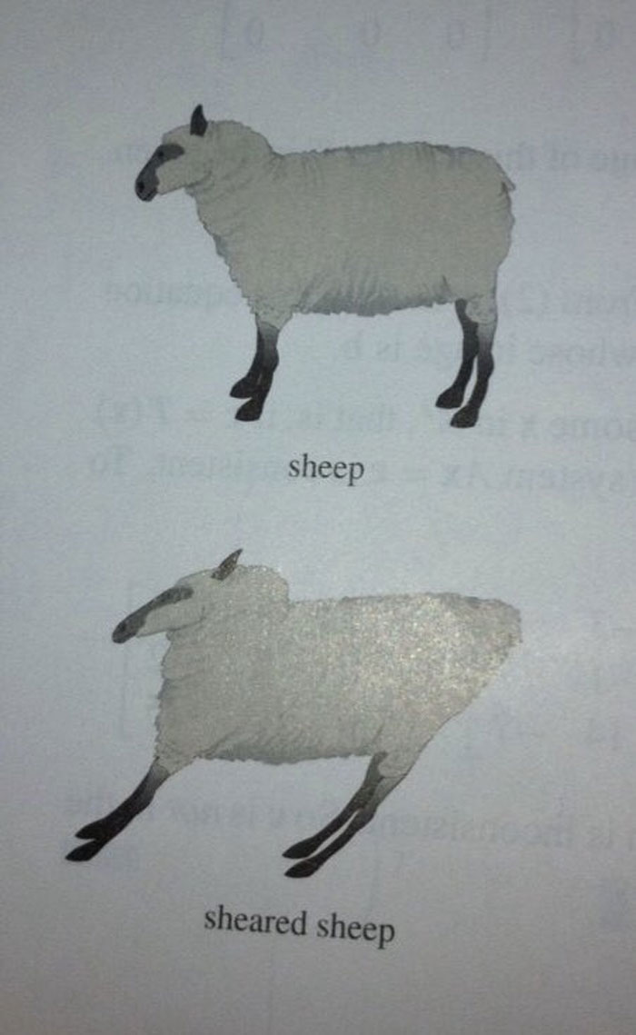 Hilarious-Science-Diagrams