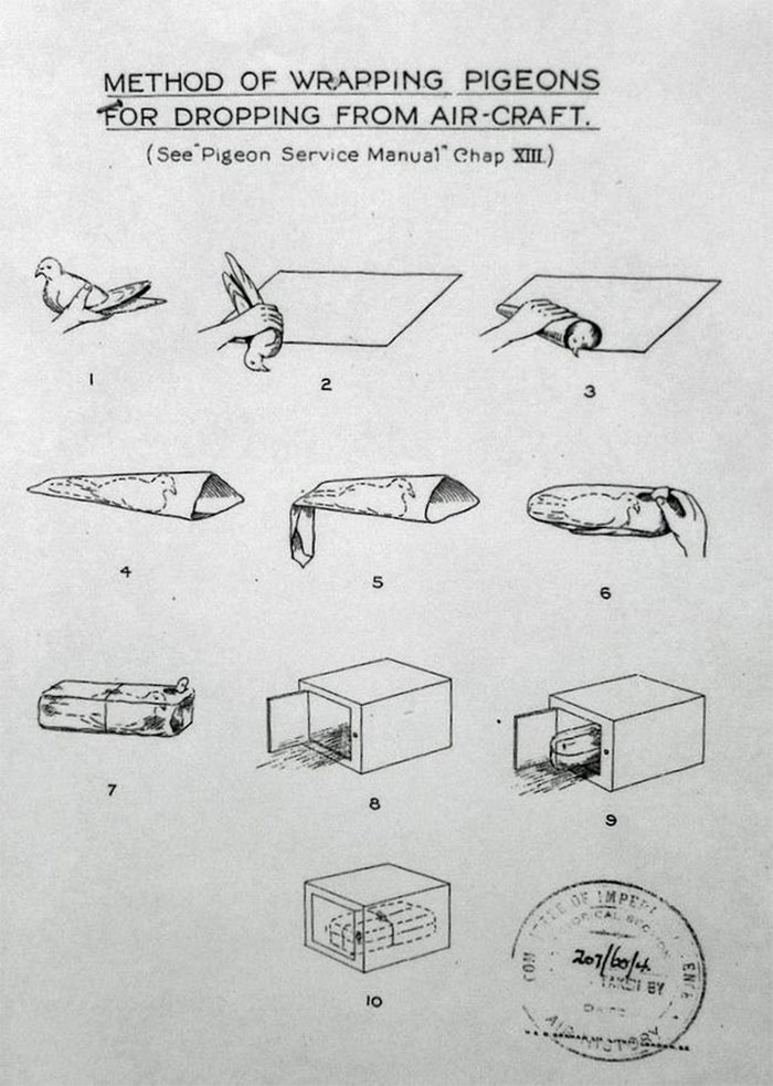 Hilarious-Science-Diagrams