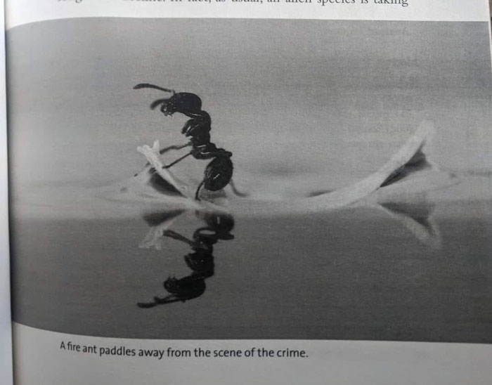 Hilarious-Science-Diagrams