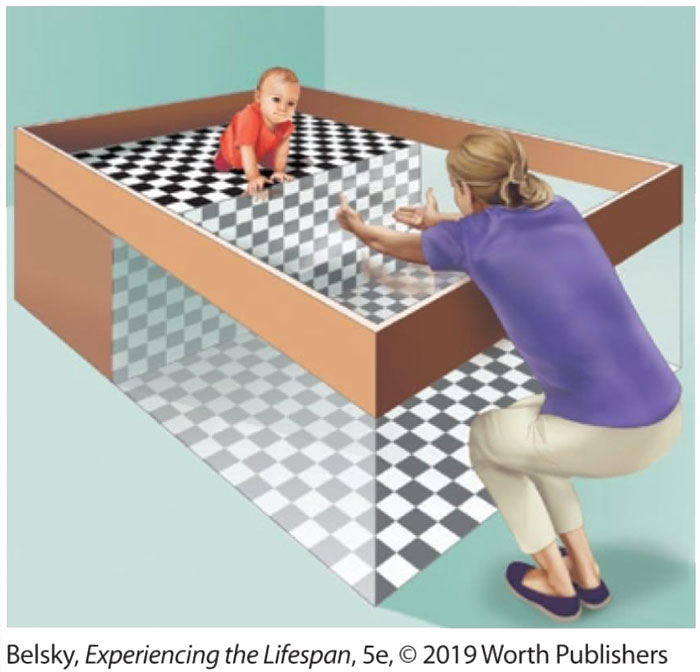 Hilarious-Science-Diagrams