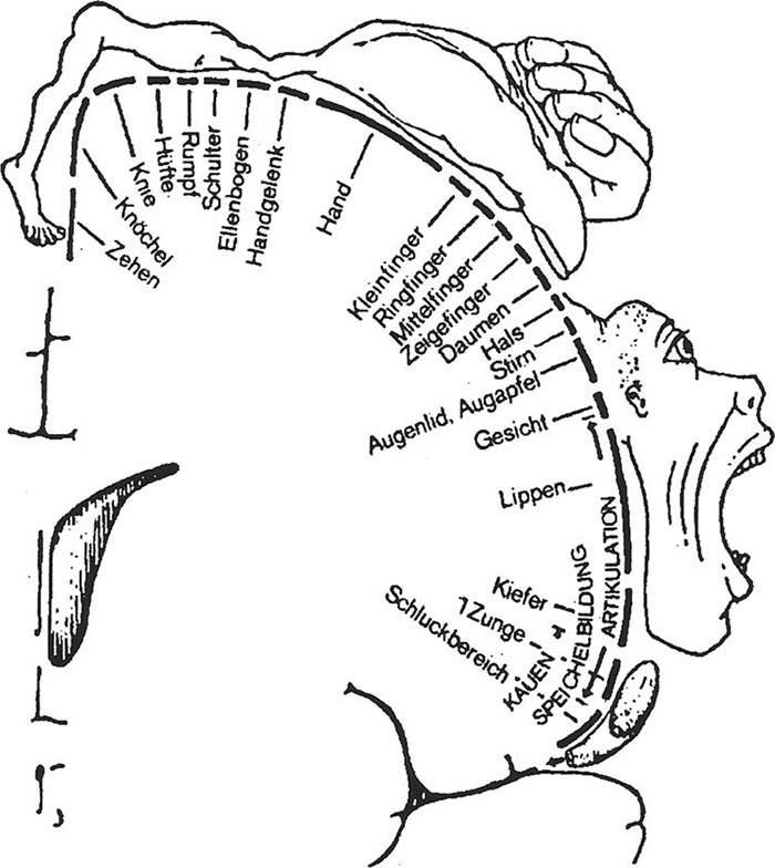 Hilarious-Science-Diagrams
