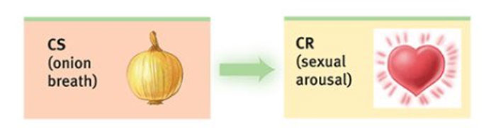 Hilarious-Science-Diagrams