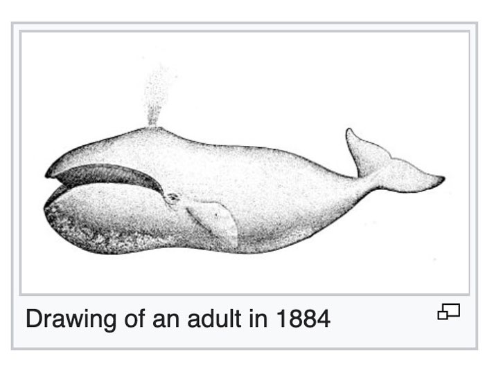 Hilarious-Science-Diagrams