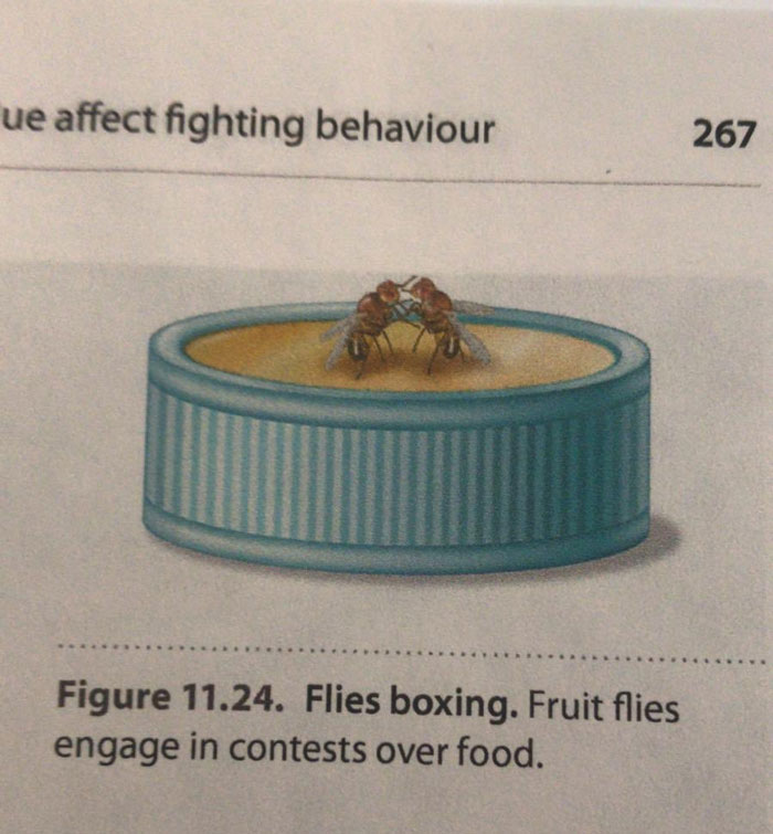 Hilarious-Science-Diagrams