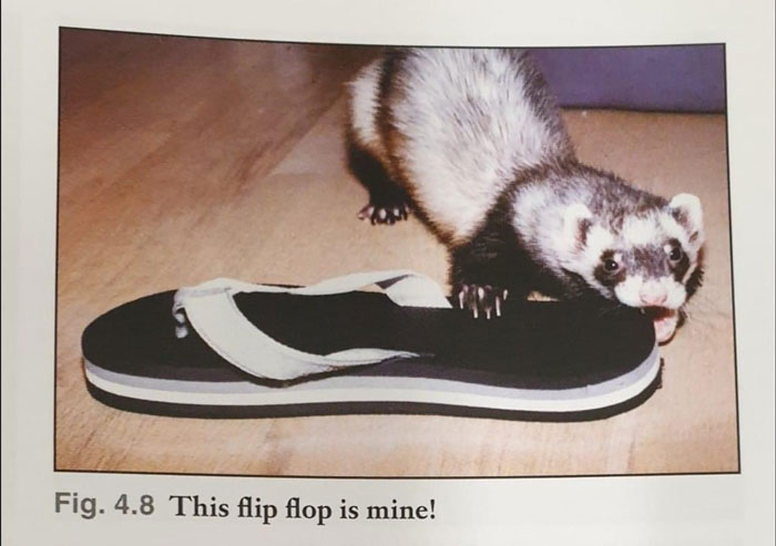 Hilarious-Science-Diagrams