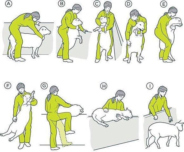 Hilarious-Science-Diagrams