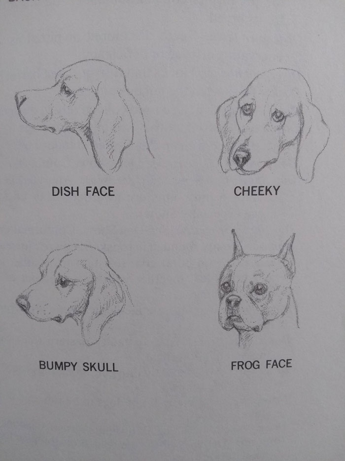 Hilarious-Science-Diagrams