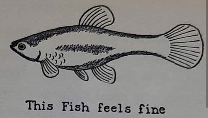 Hilarious-Science-Diagrams